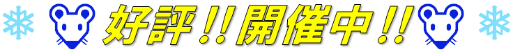 スタッドレスタイヤ